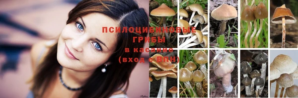 дурь Алзамай