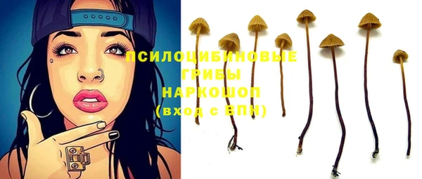 spice Алексин
