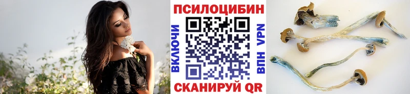 Галлюциногенные грибы Cubensis  закладка  Сыктывкар 