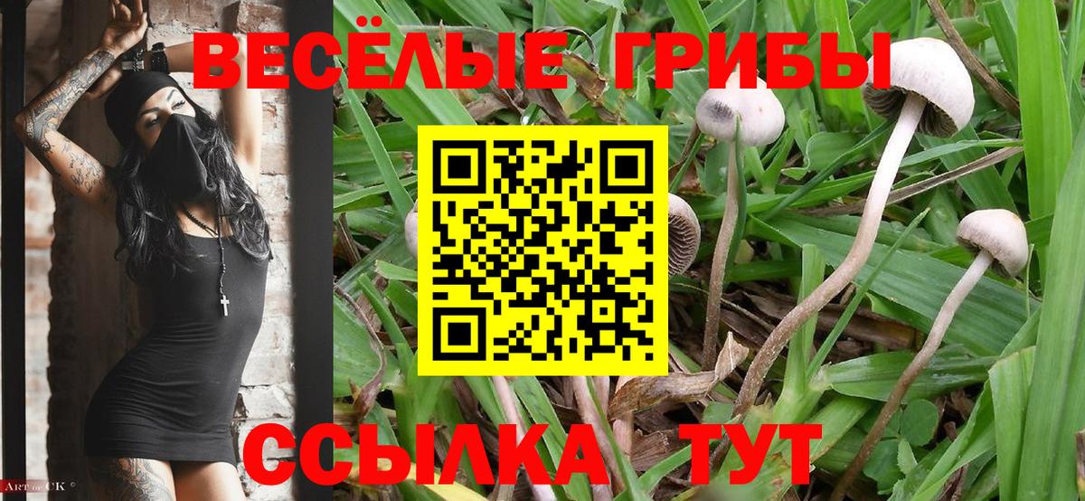Галлюциногенные грибы мухоморы  Псилоцибиновые грибы Psilocybe  Вход с VPN  Сыктывкар 